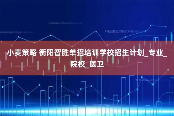 小麦策略 衡阳智胜单招培训学校招生计划_专业_院校_医卫