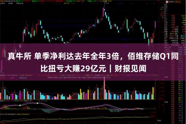 真牛所 单季净利达去年全年3倍，佰维存储Q1同比扭亏大赚29亿元｜财报见闻